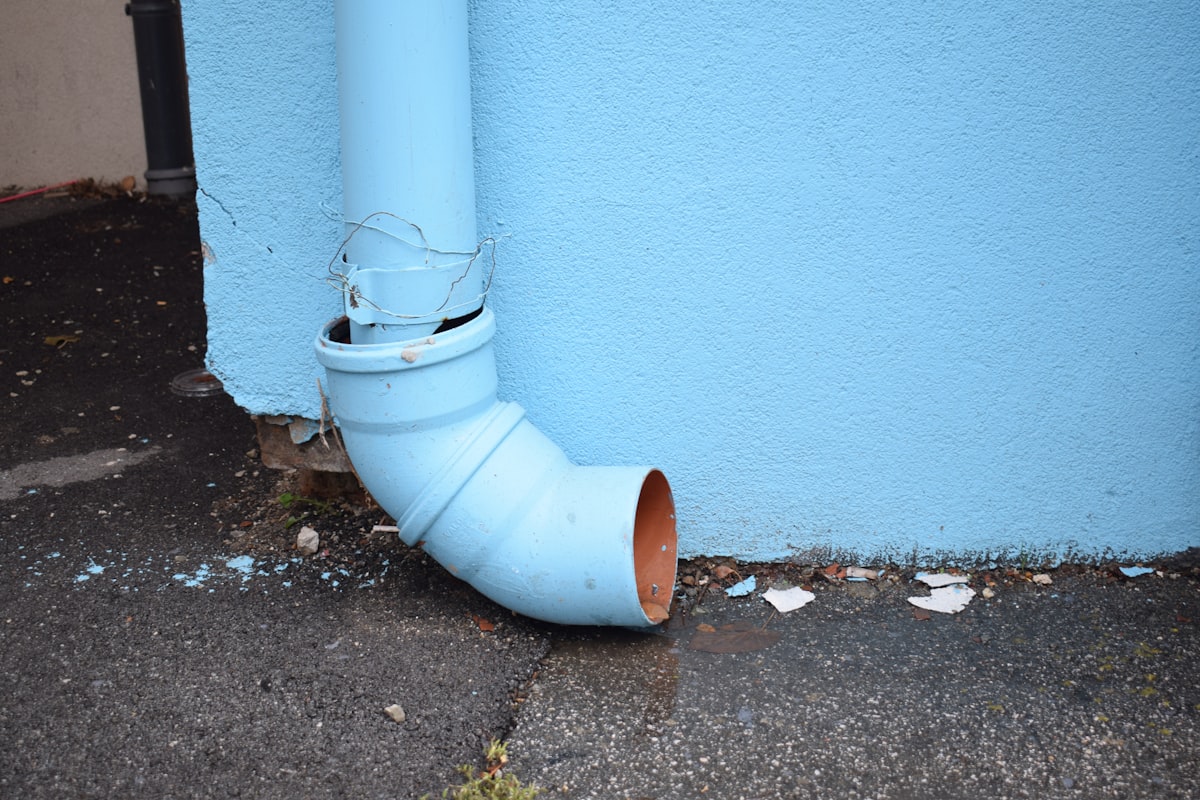 Mold Remediation service in Iowa City, IA